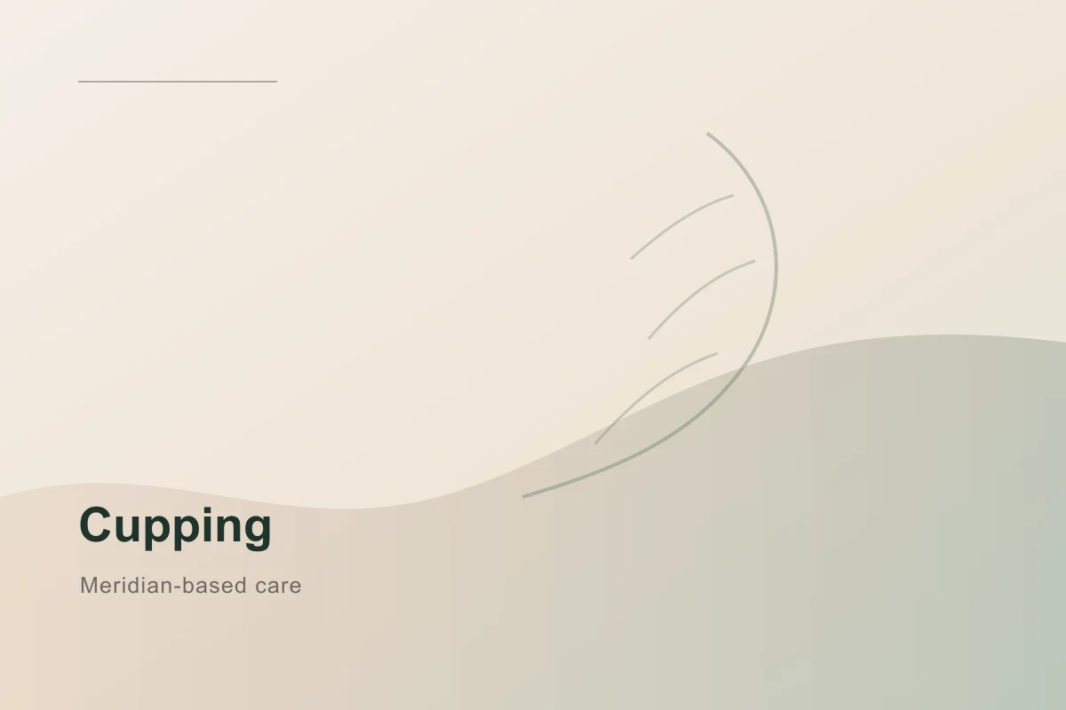 Cupping therapy treatment at Levi Acupuncture